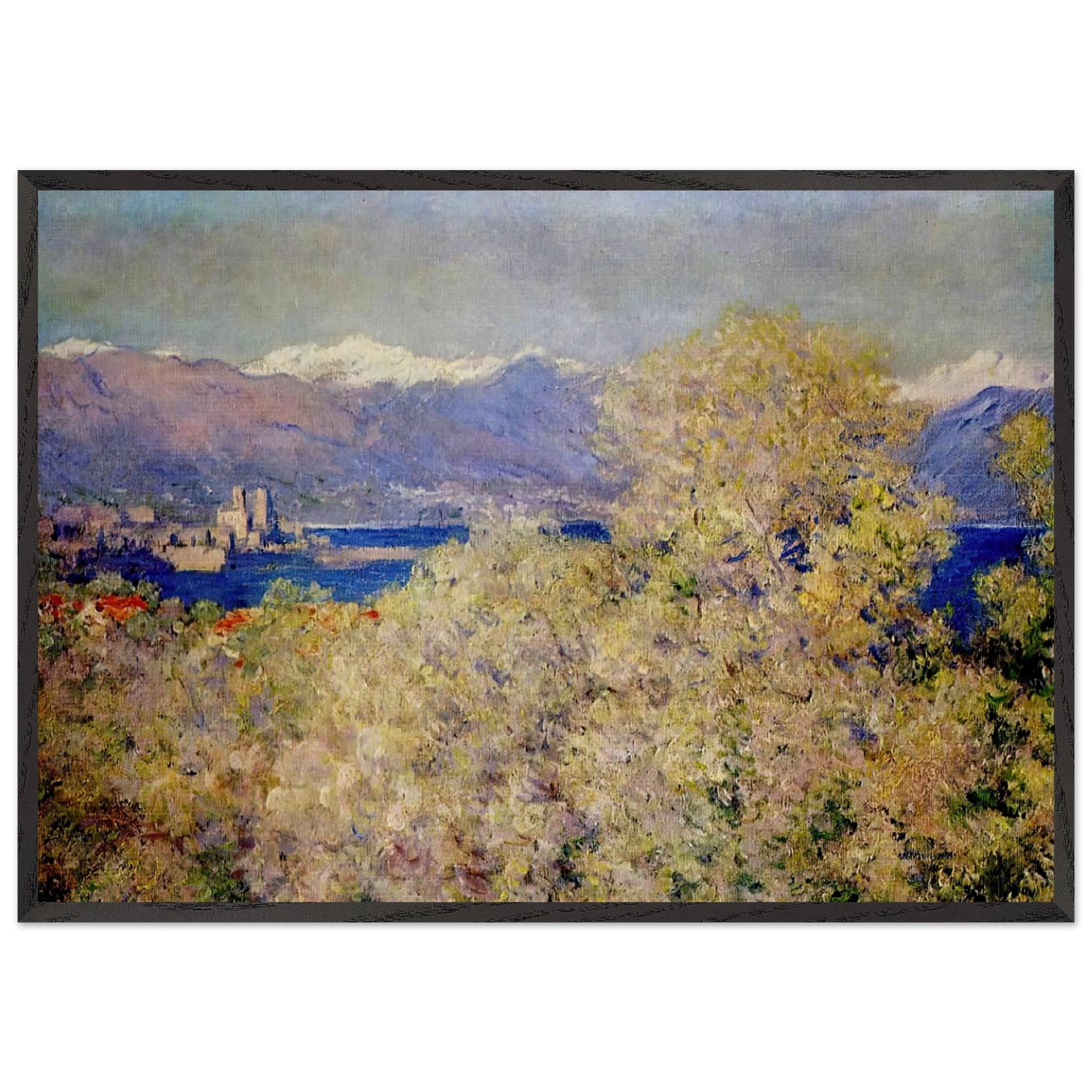 Antibes - View of the Salis Gardens - claude monet 70x100 cm / 28x40 inches Framed Art Print – Black Wooden Frame