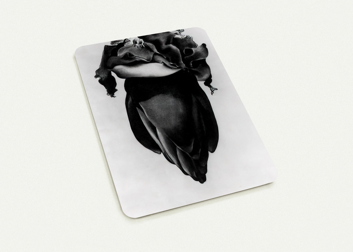 Banana Flower By Georgia O'Keeffe Pack of 10 Post Cards | Georgia O'Keeffe Post Cards | A6 (10.5 x 14.8 cm) - 4.1 x 5.8 inches