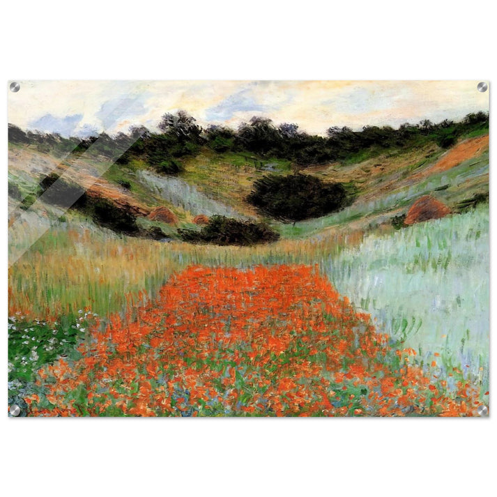 Poppy Field in a Hollow near Giverny - claude monet Acrylic Print - 70x100 cm / 28x40″ inches