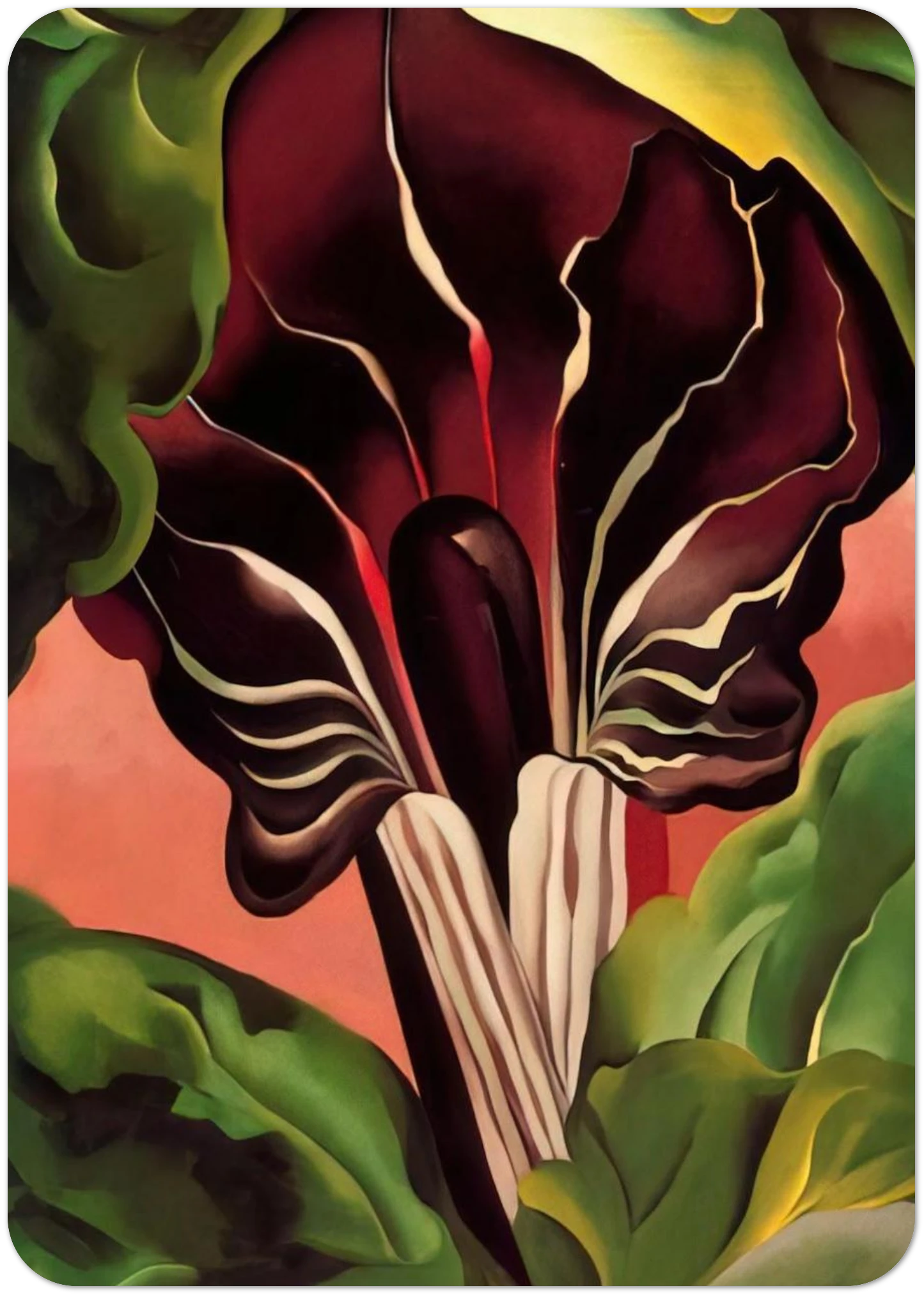 Jack-in-the-Pulpit II By Georgia O'Keeffe Pack of 10 Post Cards | Georgia O'Keeffe Post Cards | A6 (10.5 x 14.8 cm) - 4.1 x 5.8 inches