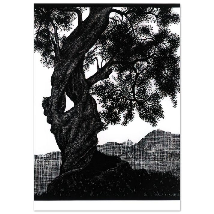 MC Escher - OLD OLIVE TREE CORSICA Wall Art - 30x40 cm / 12x16 inches - Premium Wooden Framed Poster With Fine Art Paper - White frame