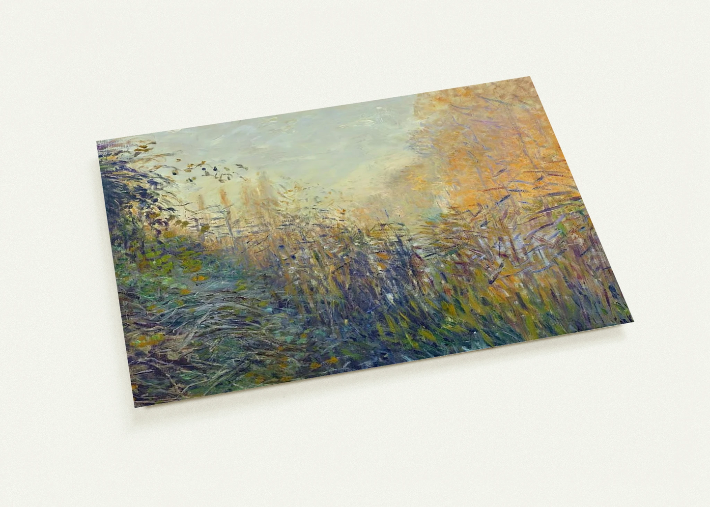 30e09a40-f570-4300-8bd8-e9f278d8a640
