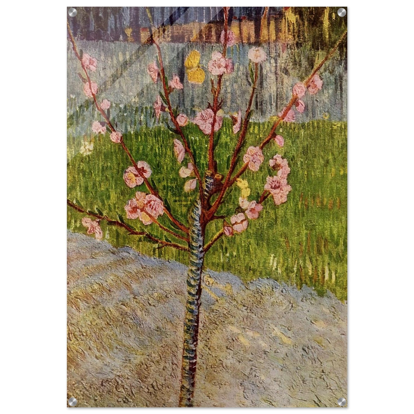 Almond Tree in Blossom - Vincent van Gogh Acrylic Print - 70x100 cm / 28x40″ inches