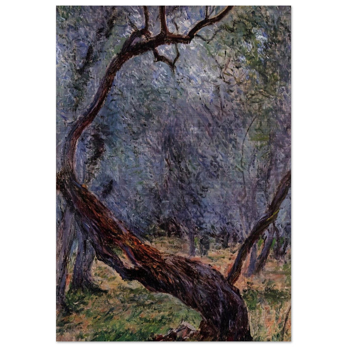 Olive Trees Study - claude monet Brushed Aluminum Print - 70x100 cm / 28x40 inches | claude monet Aluminum Print | claude monet Prints
