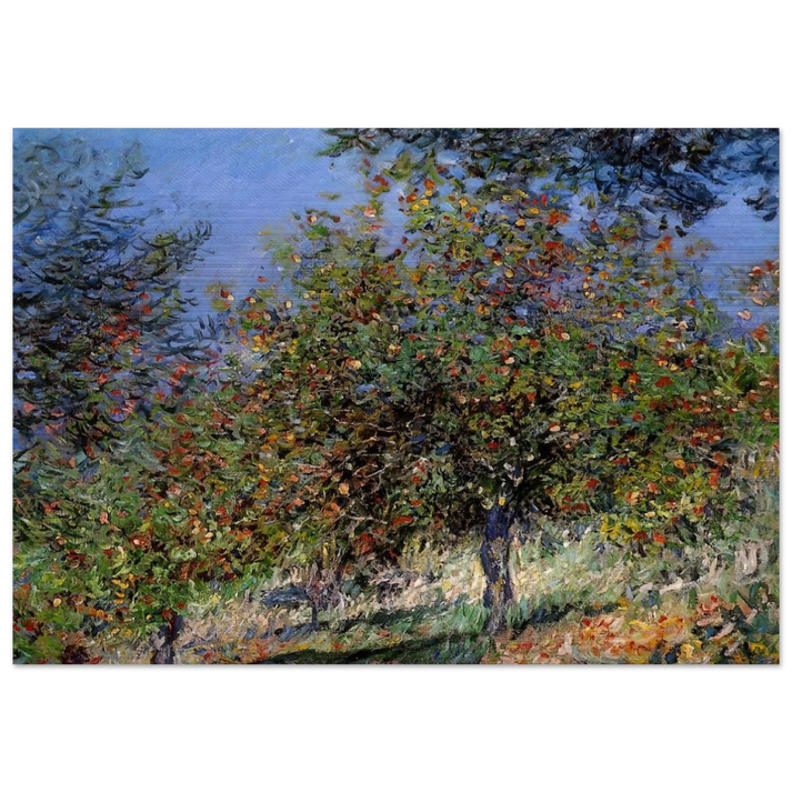 Apple Trees on the Chantemesle Hill - claude monet Brushed Aluminum Print - 70x100 cm / 28x40 inches | claude monet Aluminum Print | claude monet Prints