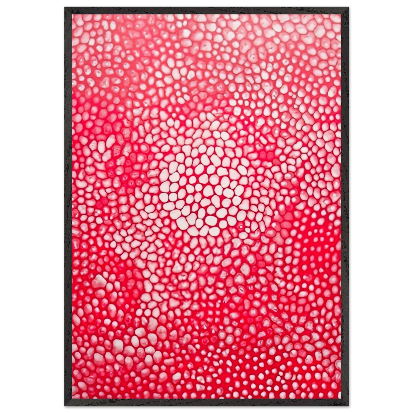 SUNLIGHT 1998 - Yayoi Kusama 70x100 cm / 28x40 inches Framed Art Print – Black Wooden Frame