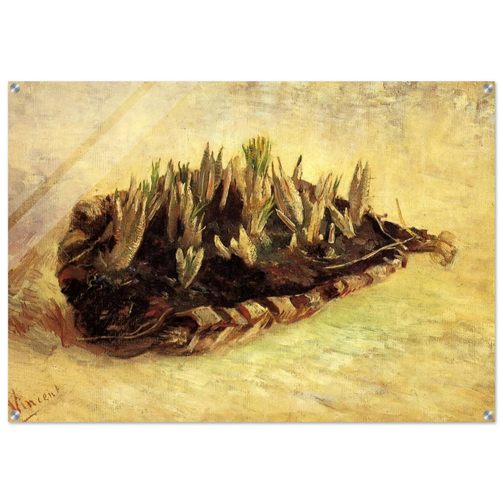 Still Life with a Basket of Crocuses - Vincent van Gogh Acrylic Print - 70x100 cm / 28x40″ inches