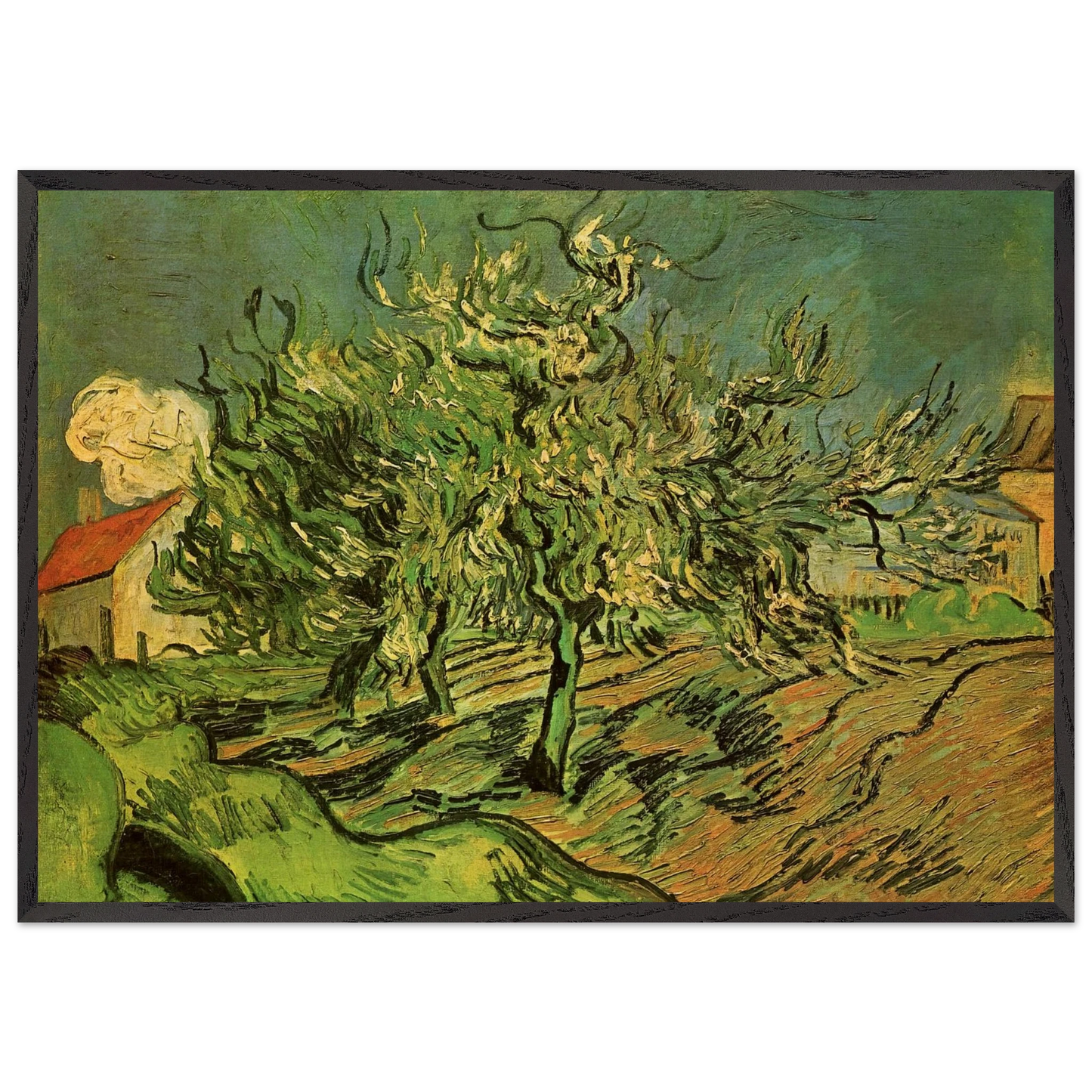 Landscape with Three Trees and a House - Vincent van Gogh 70x100 cm / 28x40 inches Framed Art Print – Black Wooden Frame