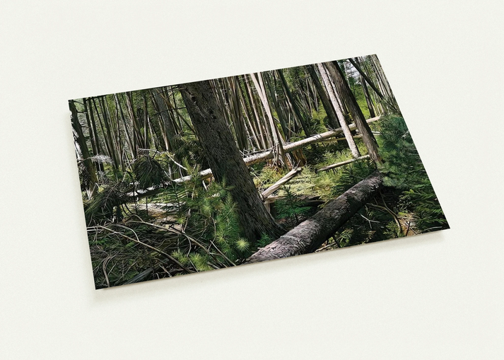NEAR HUNTERS BEACH ACADIA NATIONAL PARK 2008 By Richard Estes Pack of 10 Post Cards | Richard Estes Post Cards | A6 (10.5 x 14.8 cm) - 4.1 x 5.8 inches