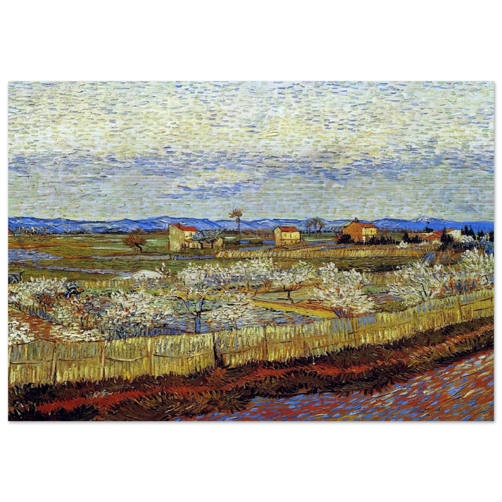 Peach Trees in Blossom - Vincent van Gogh Brushed Aluminum Print - 70x100 cm / 28x40 inches | Vincent van Gogh Aluminum Print | Vincent van Gogh Prints