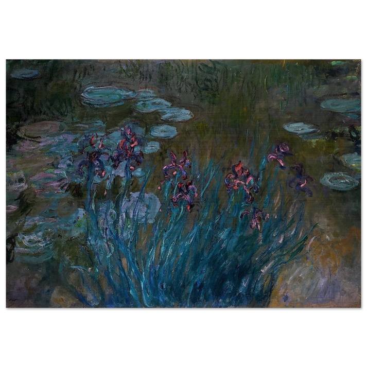 Irises and Water-Lilies - claude monet Brushed Aluminum Print - 70x100 cm / 28x40 inches | claude monet Aluminum Print | claude monet Prints