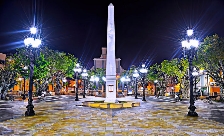 Arecibo Puerto Rico Image Art Print | RedKalion