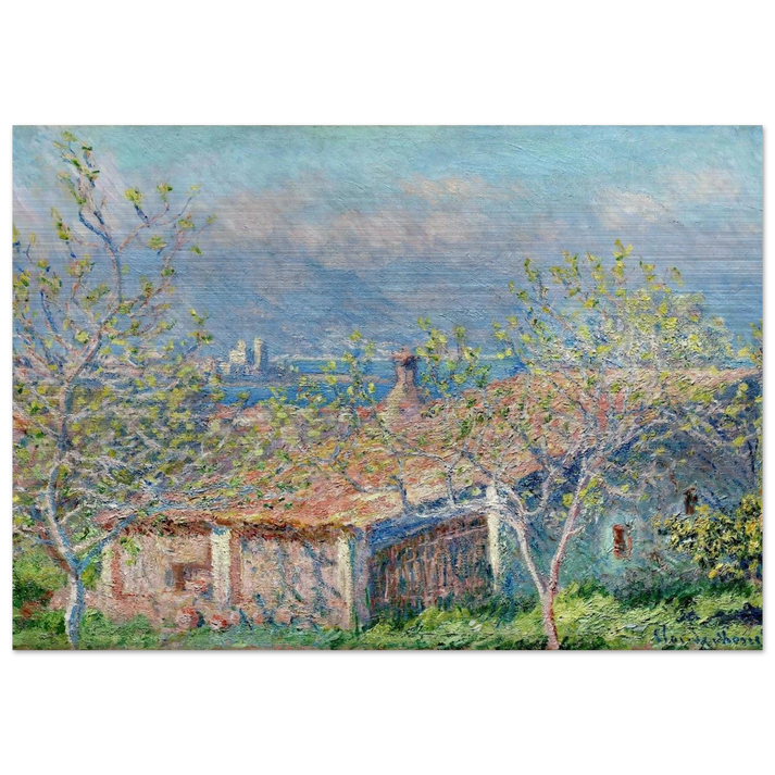 Gardener's House at Antibes - claude monet Brushed Aluminum Print - 70x100 cm / 28x40 inches | claude monet Aluminum Print | claude monet Prints