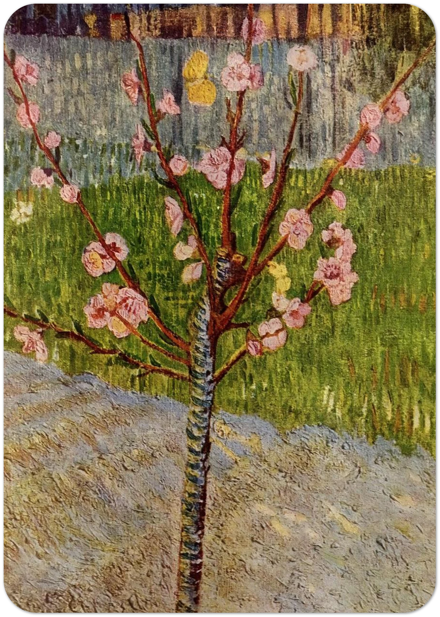 Almond Tree in Blossom By Vincent van Gogh Pack of 10 Post Cards | Vincent van Gogh Post Cards | A6 (10.5 x 14.8 cm) - 4.1 x 5.8 inches
