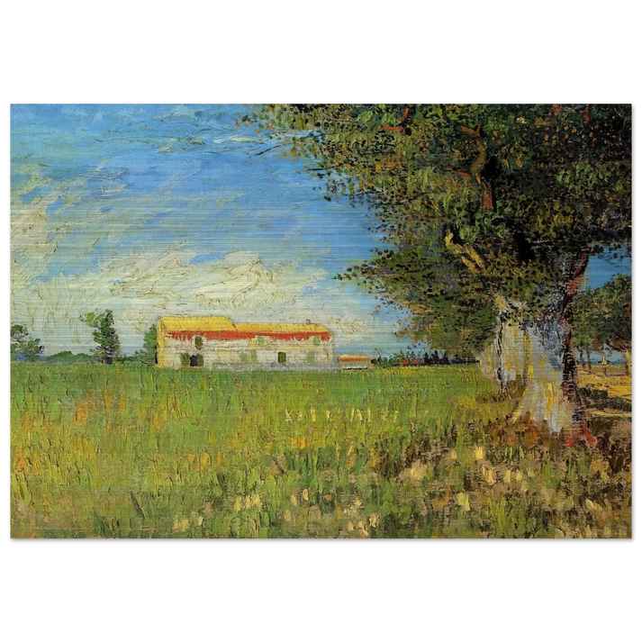 Farmhouse in a Wheat Field - Vincent van Gogh Brushed Aluminum Print - 70x100 cm / 28x40 inches | Vincent van Gogh Aluminum Print | Vincent van Gogh Prints