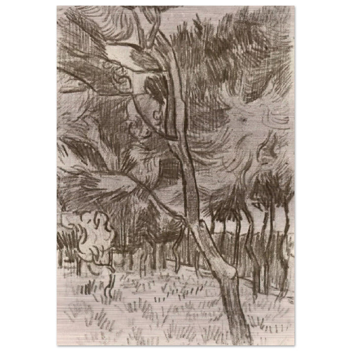 Pine Trees in the Garden of the Asylum - Vincent van Gogh Brushed Aluminum Print - 70x100 cm / 28x40 inches | Vincent van Gogh Aluminum Print | Vincent van Gogh Prints