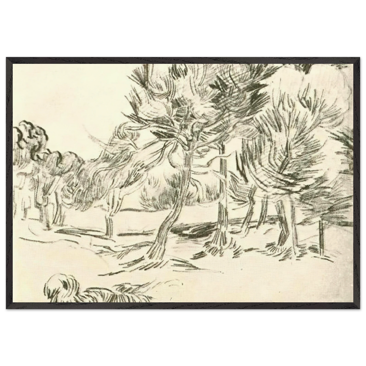 A Group of Pine Trees - Vincent van Gogh 70x100 cm / 28x40 inches Framed Art Print – Black Wooden Frame