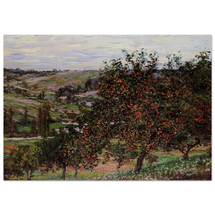 Apple Trees near Vetheuil - claude monet Brushed Aluminum Print - 70x100 cm / 28x40 inches | claude monet Aluminum Print | claude monet Prints