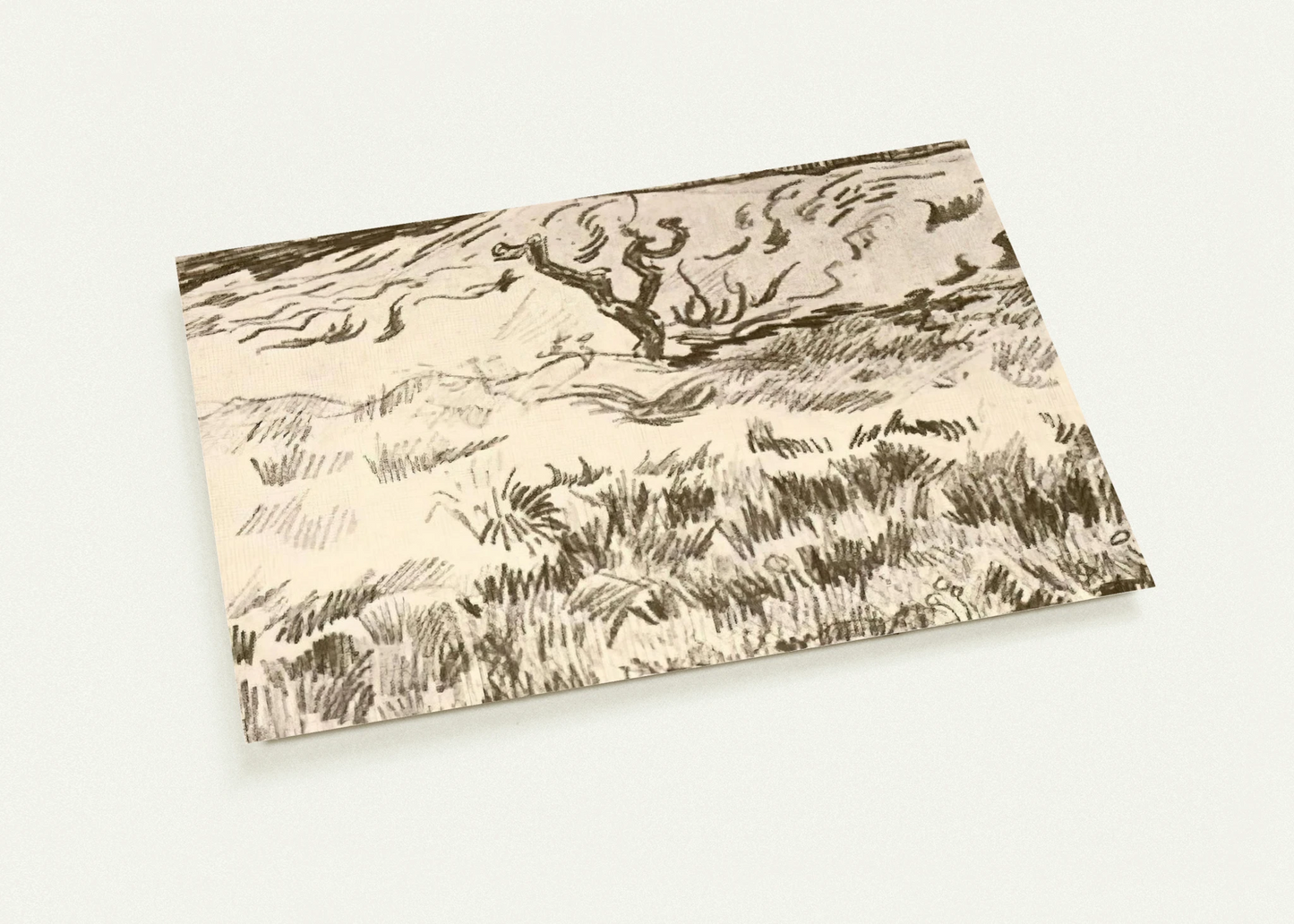 Field with Bare Tree By Vincent van Gogh Pack of 10 Post Cards | Vincent van Gogh Post Cards | A6 (10.5 x 14.8 cm) - 4.1 x 5.8 inches