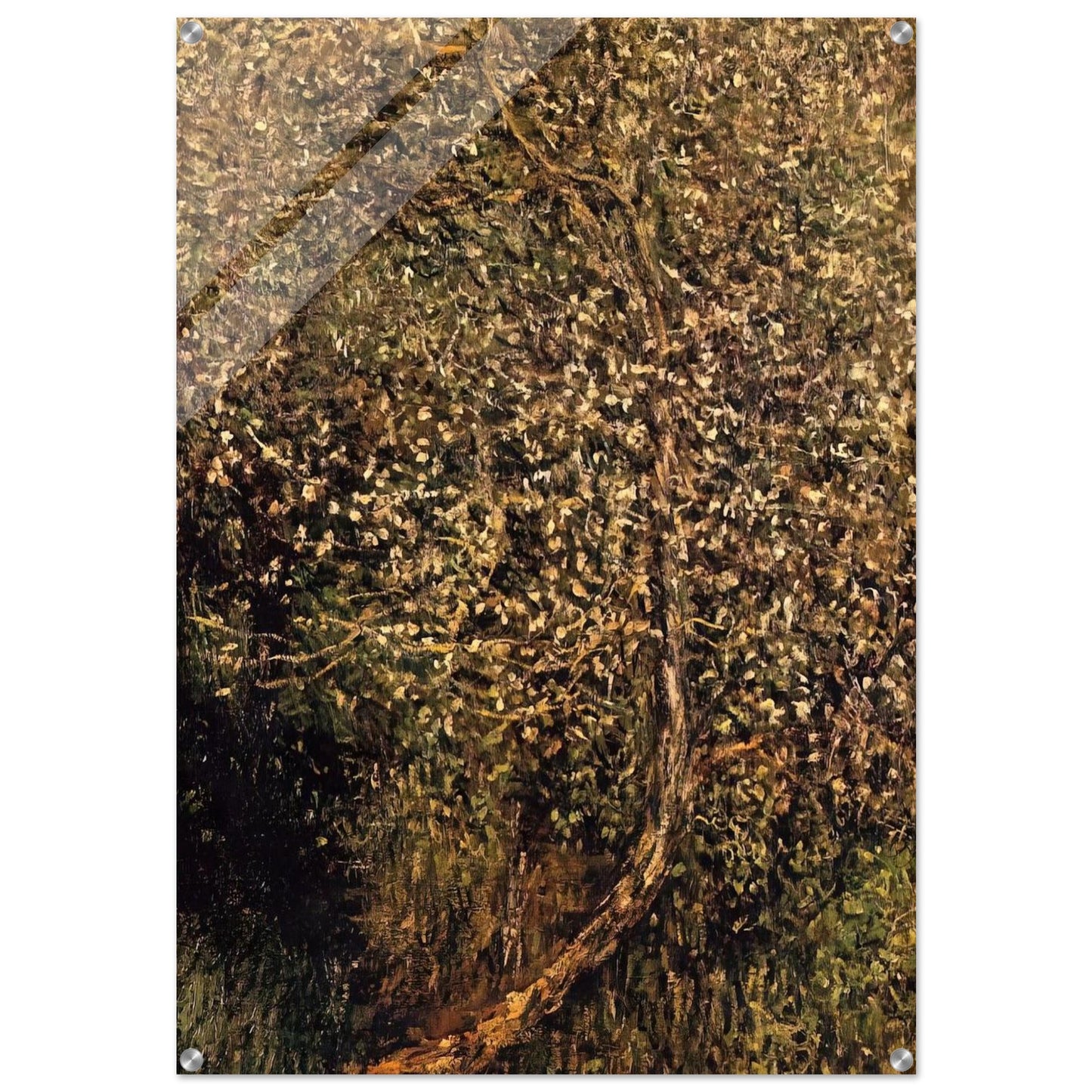 Apple Trees in Blossom by the Water - claude monet Acrylic Print - 70x100 cm / 28x40″ inches | claude monet Wall Art | claude monet Prints