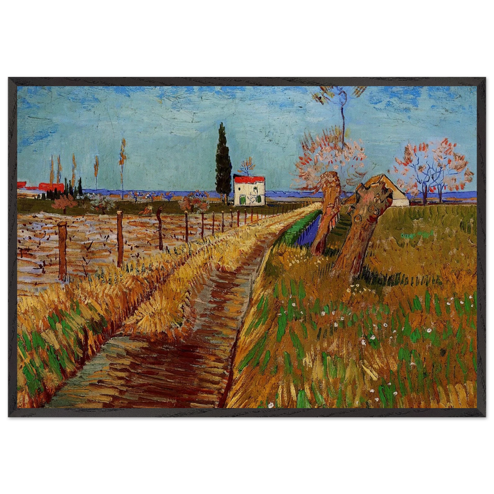 Path Through a Field with Willows - Vincent van Gogh 70x100 cm / 28x40 inches Framed Art Print – Black Wooden Frame
