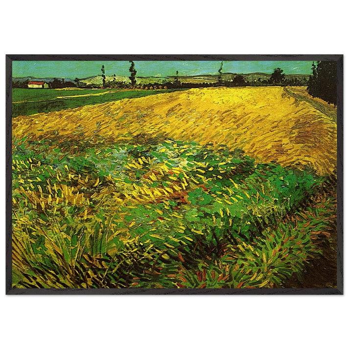 Wheat Field with the Alpilles Foothills in the Background - Vincent van Gogh 70x100 cm / 28x40 inches Framed Art Print – Black Wooden Frame