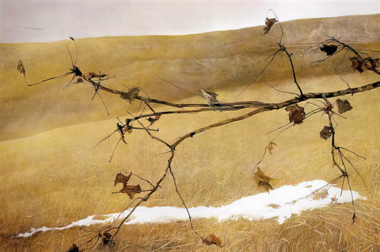 Andrew Wyeth Light Wash Print: A Study in Ethereal Realism - LONG LIMB by Andrew Wyeth