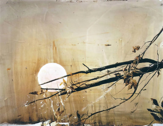 Andrew Wyeth Painting Price: A Collector's Guide to Value, Rarity & Investment - FULL MOON 1980 by Andrew Wyeth