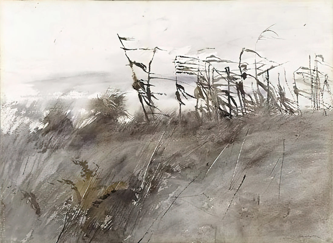 Andrew Wyeth Public Sale: A Collector's Guide to Acquiring Authentic Art - NOVEMBER FIRST 1950 by Andrew Wyeth
