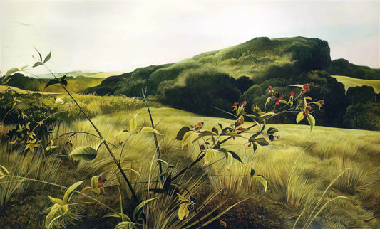 Andrew Wyeth Signed: Authenticity, Value, and Collector Insights - BLACKBERRY PICKER by Andrew Wyeth