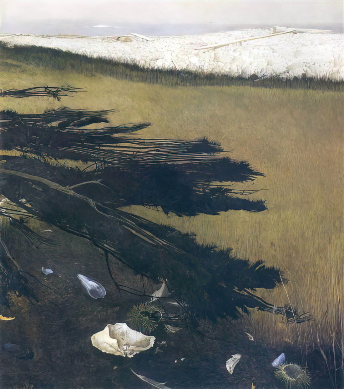 Andrew Wyeth's The Big Room: An Intimate Exploration of the Artist's Iconic Interior - NOT DETECTED 47 by Andrew Wyeth