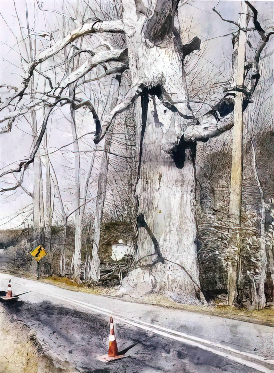 Andrew Wyeth's 'Her Room' Print: A Masterpiece of American Realism - WALKING STICK by Andrew Wyeth