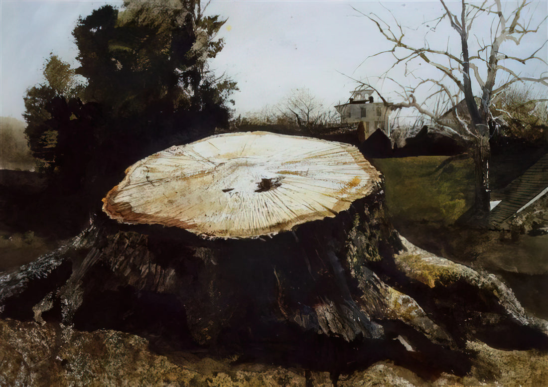 Andrew Wyeth's 'Her Room' Print: A Study in Solitude and American Realism - THE BIG OAK by Andrew Wyeth