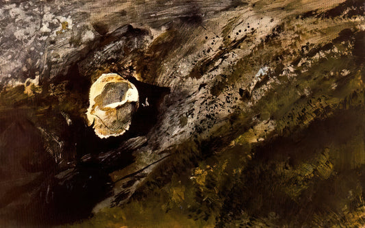 Andrew Wyeth's 'Independence Day': A Masterpiece of American Realism - INLAND SHELL by Andrew Wyeth