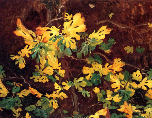 Capturing Byzantium's Soul: John Singer Sargent's Hagia Sophia Painting - Study of a Fig Tree by John Singer Sargent