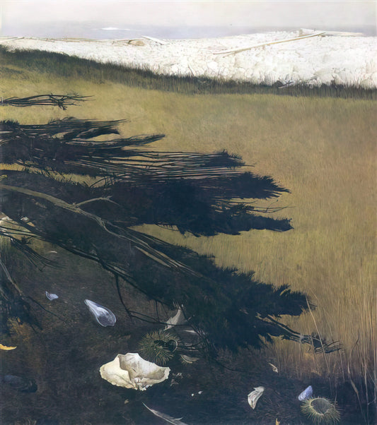 Christina Olsen Wyeth: The Enduring Muse of Andrew Wyeth's American Realism - NOT DETECTED 47 by Andrew Wyeth