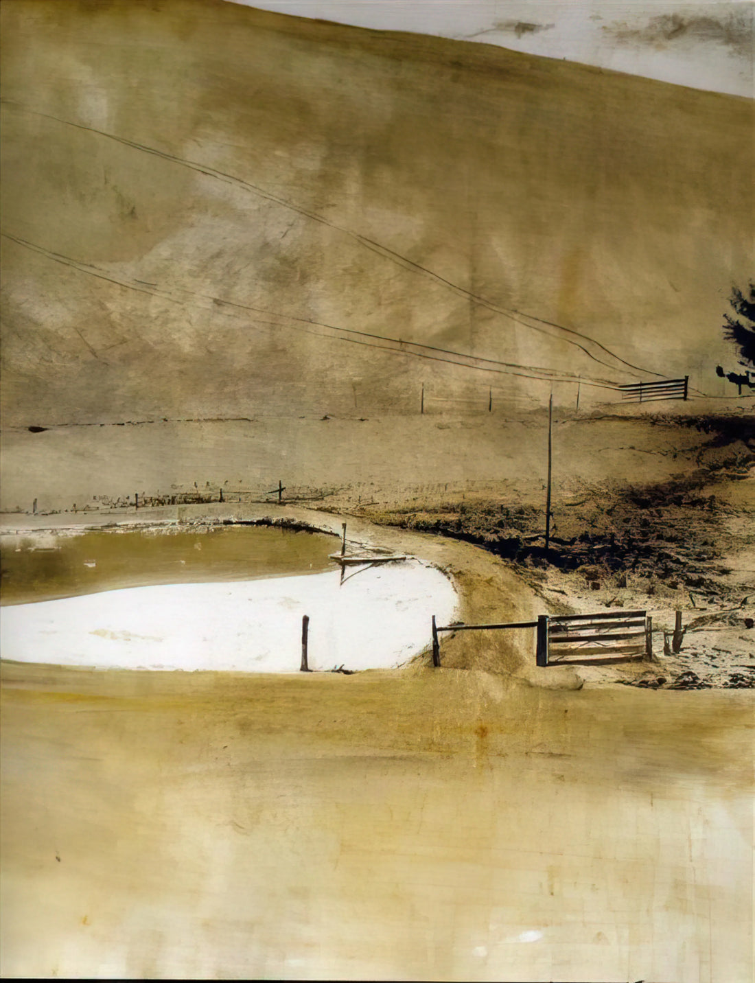 Christina's World: Andrew Wyeth's Masterpiece and the Painter's Enduring Legacy - NOT DETECTED 34 by Andrew Wyeth