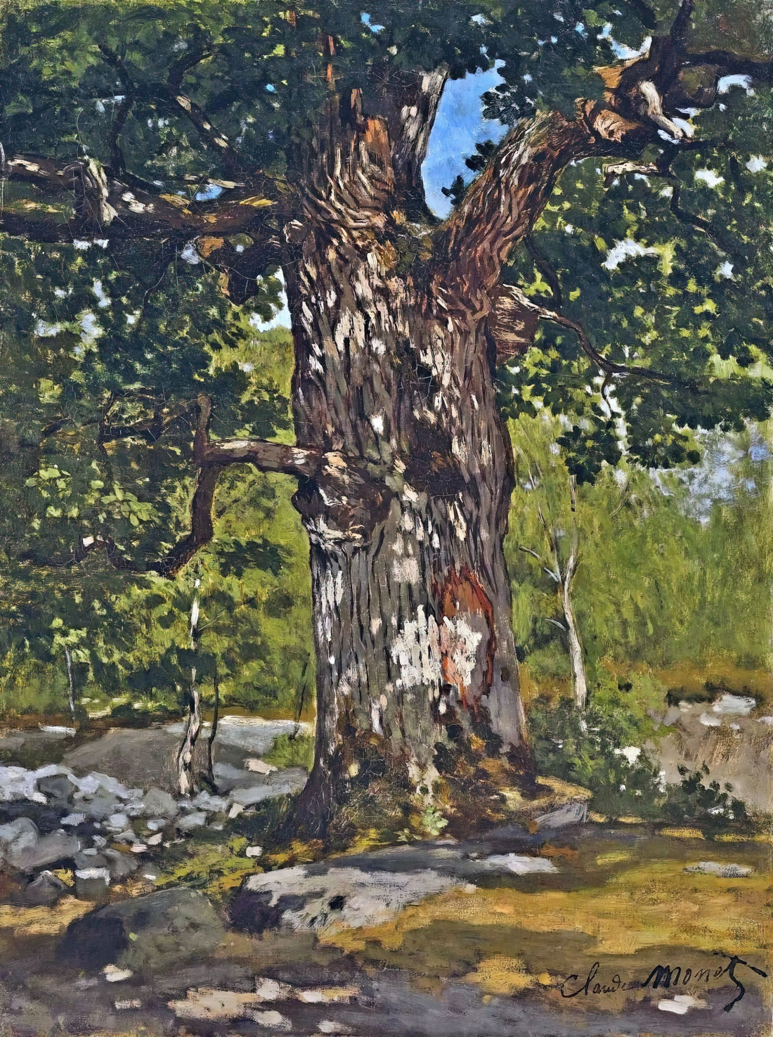 Claude Monet Prints on Amazon: A Collector's Guide to Authentic Art Reproduction - The Bodmer Oak by claude monet