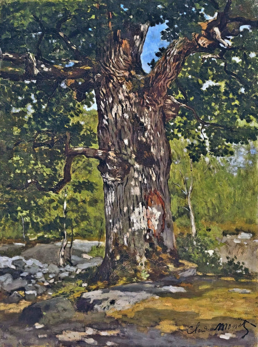 Claude Monet Prints on Amazon: A Collector's Guide to Authentic Art Reproduction - The Bodmer Oak by claude monet
