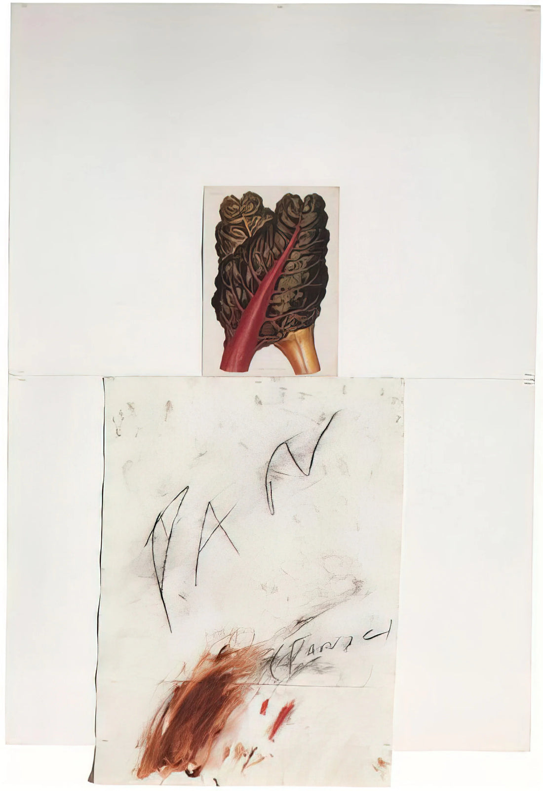 Edwin Parker Tacita Dean: The Contemporary Alchemist of Film, Photography, and Memory - Pan by Cy Twombly