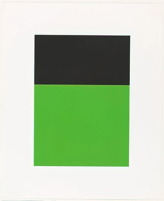 Ellsworth Kelly Art for Sale: A Guide to Acquiring His Iconic Prints and Paintings - Black-Green from the Series of Ten Lithographs by Ellsworth Kelly