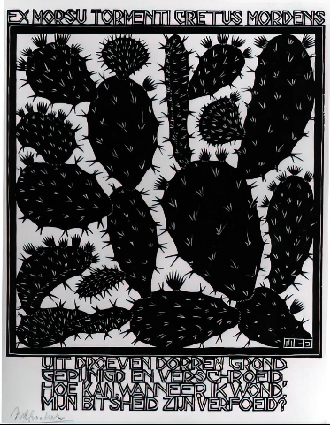 Escher Drawings: The Mathematical Mind Behind Impossible Worlds - EMBLEMATA CACTUS by MC Escher