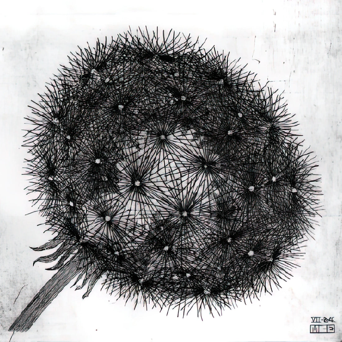 Escher on Escher: The Mind-Bending World of Maurits Cornelis Escher's Optical Illusions - BLOWBALL I by MC Escher