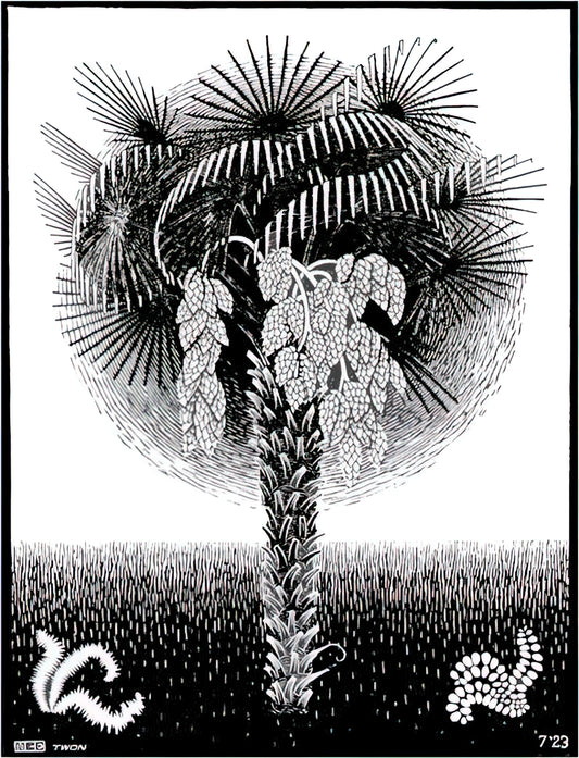 Escher's Most Famous Artwork: A Curator's Guide to the Master of Impossible Worlds - PALM TREE by MC Escher