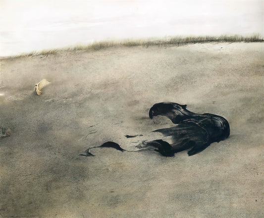 Famous Wyeth Paintings: A Curator's Guide to Andrew Wyeth's Iconic Works - NOT DETECTED 37 by Andrew Wyeth