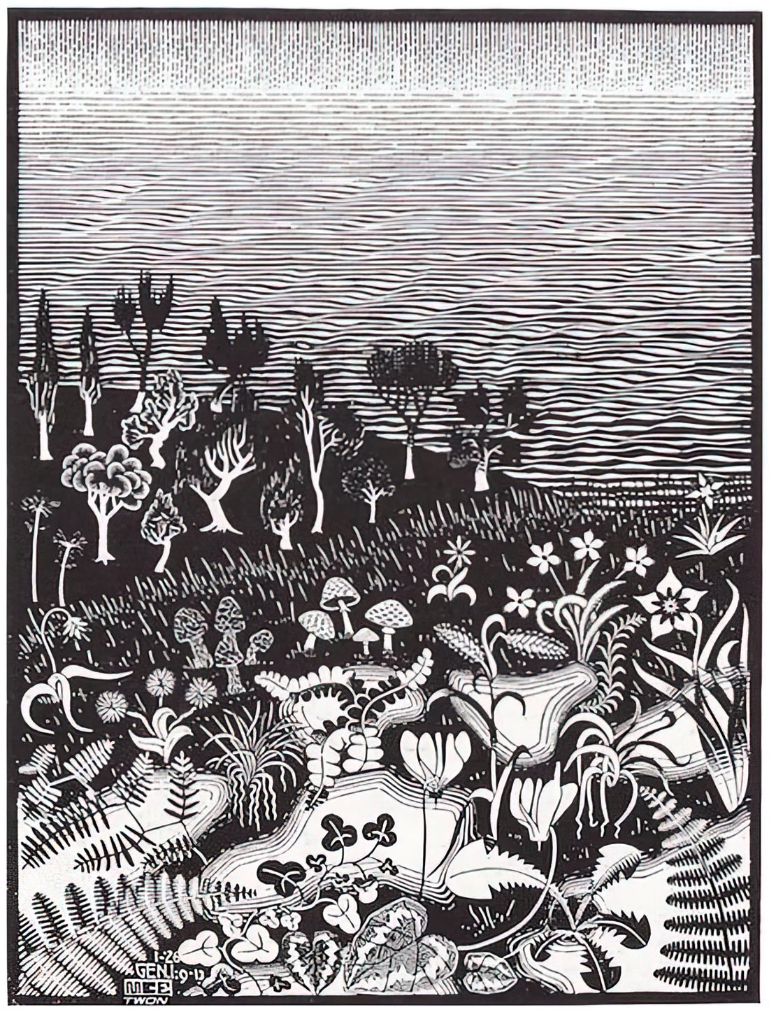 George Escher: The Mathematical Visionary Who Redefined Art and Perception - THE 3RD DAY OF THE CREATION by MC Escher