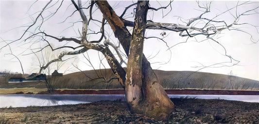 Helga Pictures Wyeth: The Secret Masterpiece Series That Redefined American Realism - DIL HUEY FARM by Andrew Wyeth