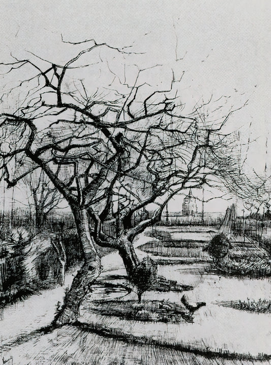 Immersive Art Van Gogh: A Modern Reimagining of a Post-Impressionist Master - Parsonage Garden by Vincent van Gogh