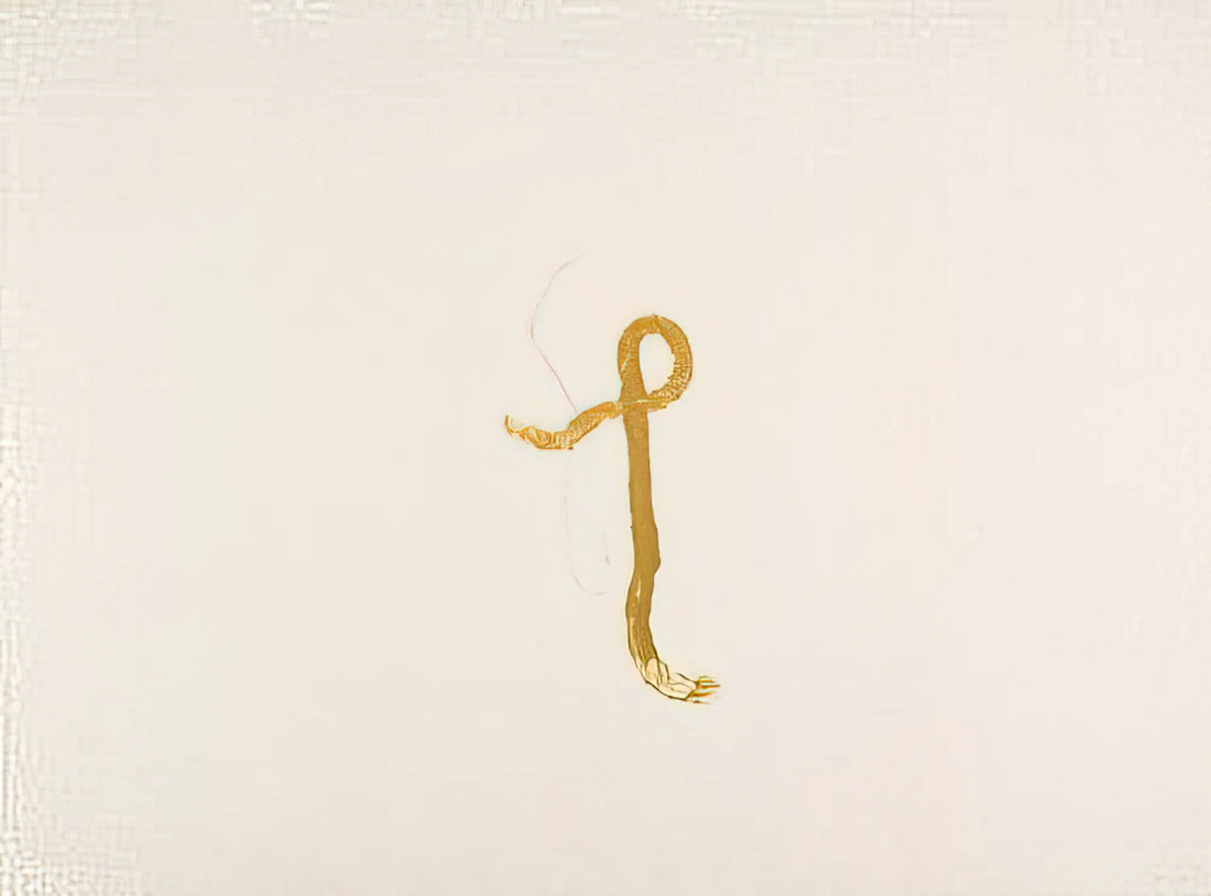 John Cage and Zen Buddhism: The Silent Revolution in Modern Art - Strings - Abstract Expressionism by John Cage