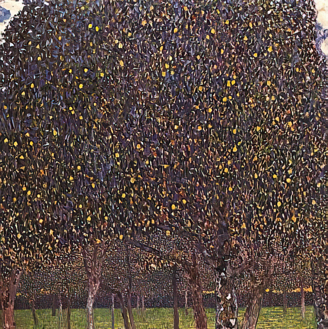 Klimt Reproductions: A Curator's Guide to Museum-Quality Art Prints - PEAR TREE 1903 by Gustav Klimt